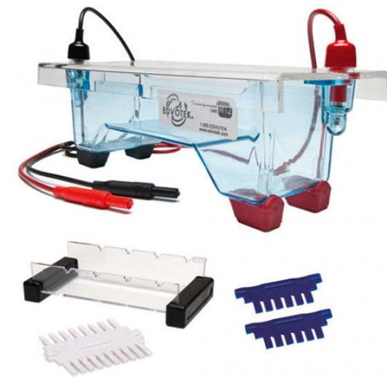 cuve-electrophorese2