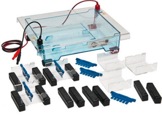 cuve-electrophorese4