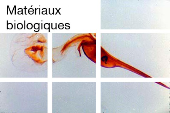 materiaux-biologiques193